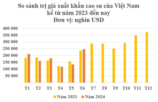 Loại cây quý mang về cho Việt Nam hơn 1 tỷ USD trong 6 tháng đầu năm: Ấn Độ, Hàn Quốc liên tục lùng mua, 1/10 sản lượng của thế giới đang nằm ở nước ta- Ảnh 2.