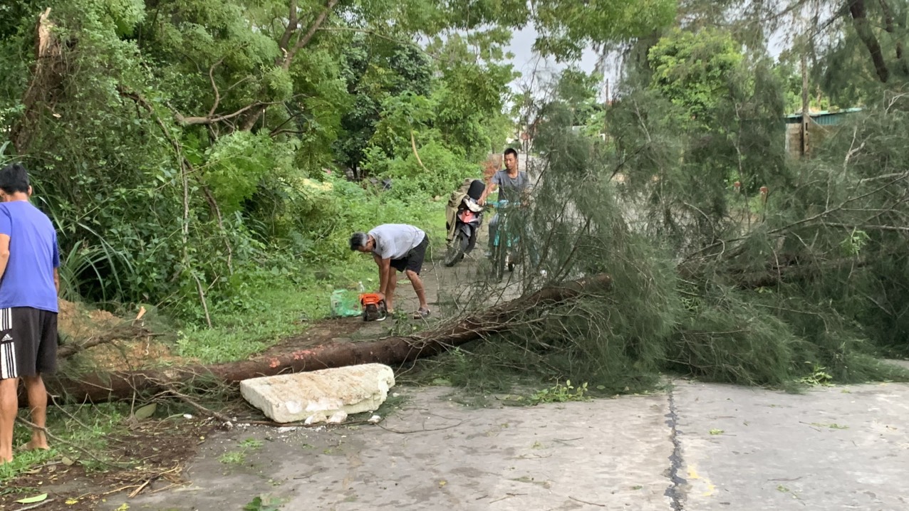 Những thiệt hại ban đầu khi bão số 2 đổ bộ Quảng Ninh- Ảnh 4.