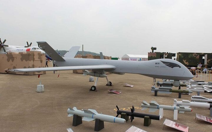 UAV Wing Loong của Trung Quốc ngụy trang thành tua bin gió bị Italia bắt giữ- Ảnh 4.