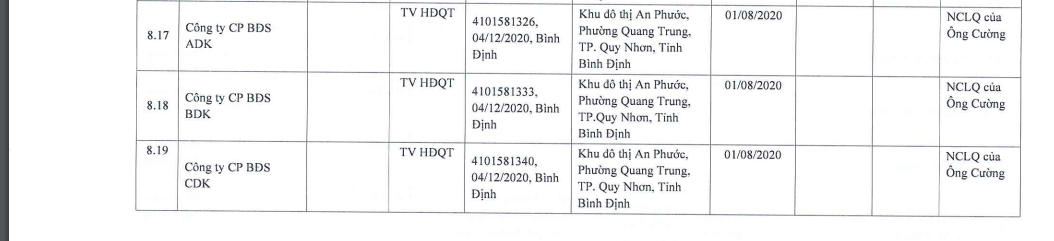 Kinh doanh thua lỗ vẫn 'hút' 3.300 tỷ đồng trái phiếu, giới chủ Hưng Thịnh Phát là ai?- Ảnh 2.