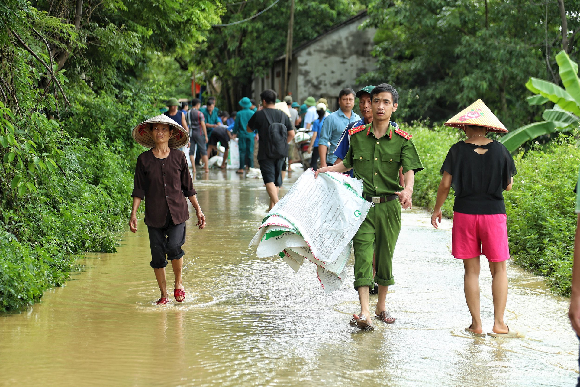 Nhiều nhà dân ngoại thành Hà Nội chìm trong 'biển nước'
- Ảnh 15.