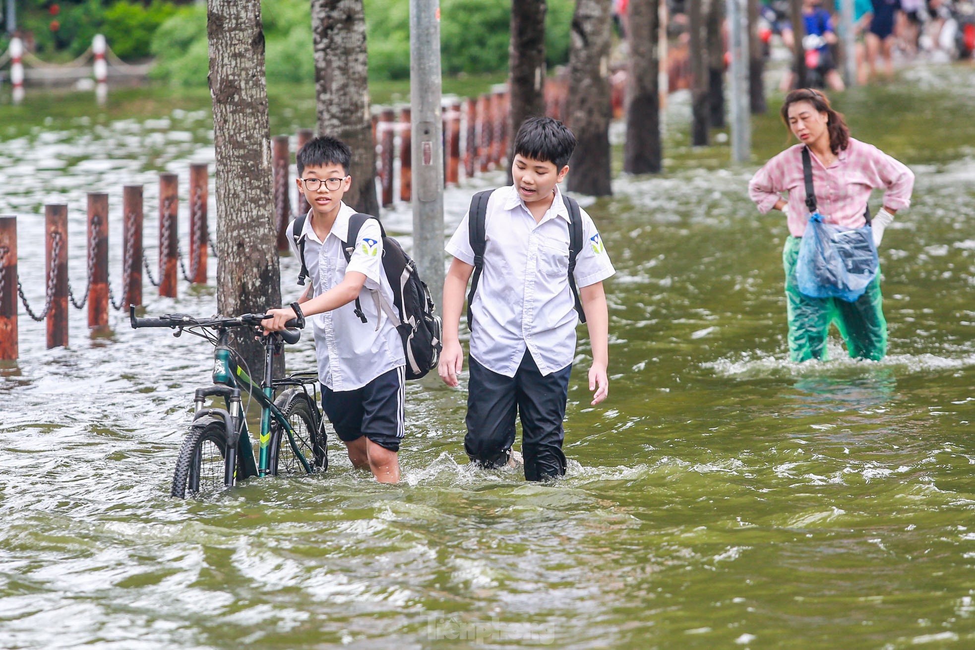 Người dân Hà Nội vừa đi vừa run khi đường và hồ 'hoà làm một'- Ảnh 15.