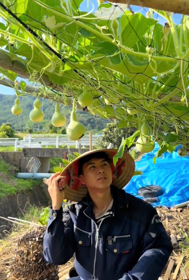 Chuyển khu vườn đủ loại hoa quả miền Tây sang Nhật, 2 thanh niên Việt nhận phản ứng lạ từ hàng xóm- Ảnh 11.