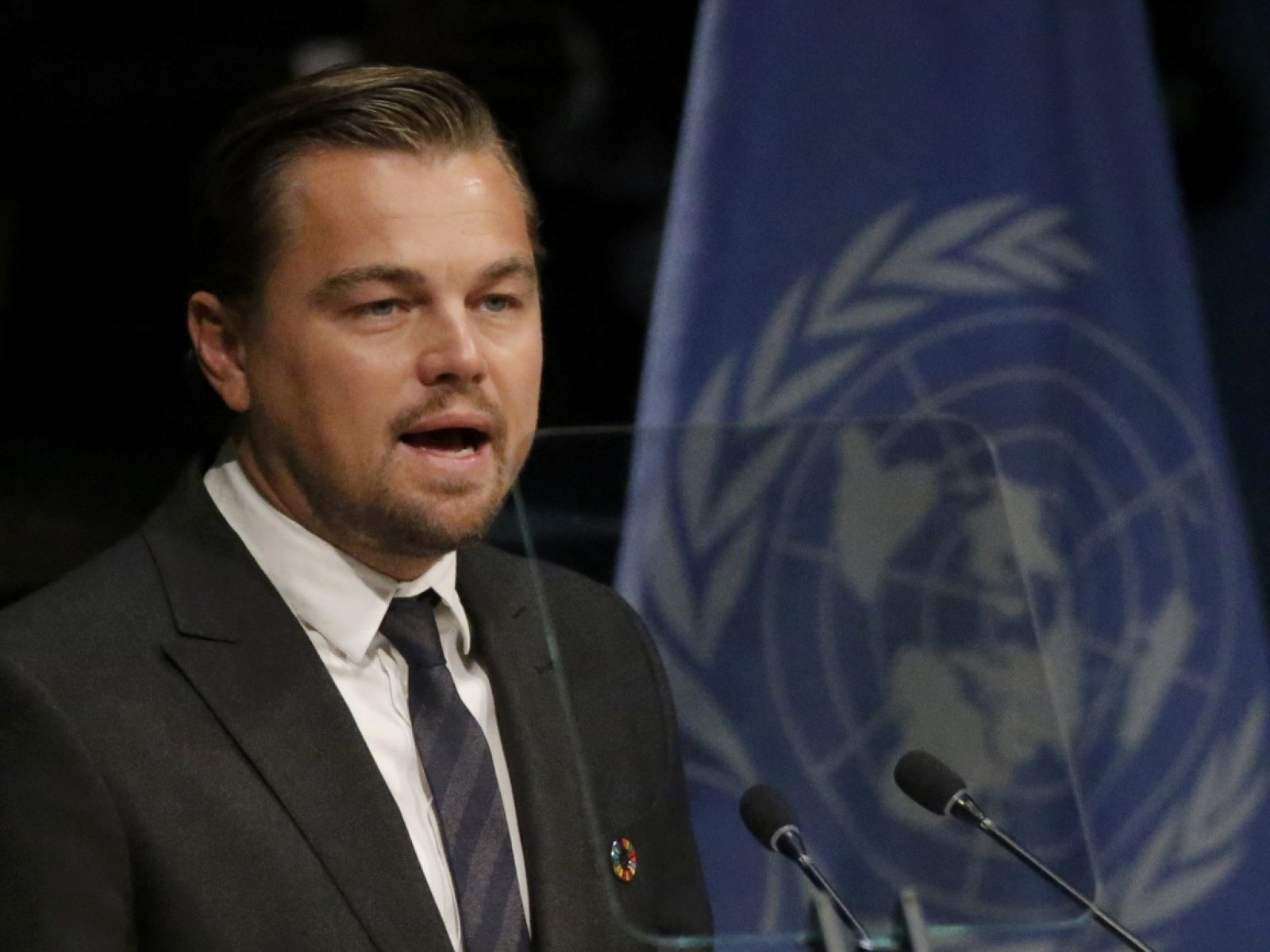 Vận đen của Leonardo DiCaprio- Ảnh 4.