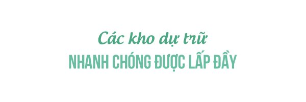 Trung Quốc ồ ạt gia tăng dự trữ mọi thứ bất chấp nhu cầu trong nước yếu đi trong khi giá cả đắt đỏ: Lý do là ông Trump?- Ảnh 5.