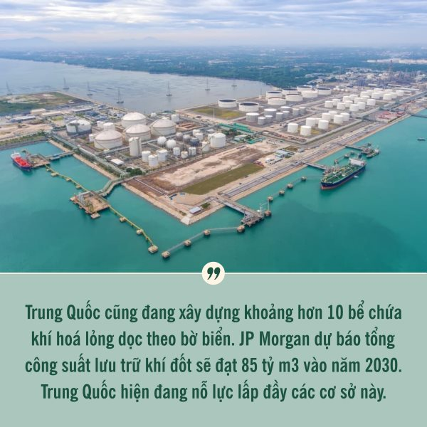 Trung Quốc ồ ạt gia tăng dự trữ mọi thứ bất chấp nhu cầu trong nước yếu đi trong khi giá cả đắt đỏ: Lý do là ông Trump?- Ảnh 7.