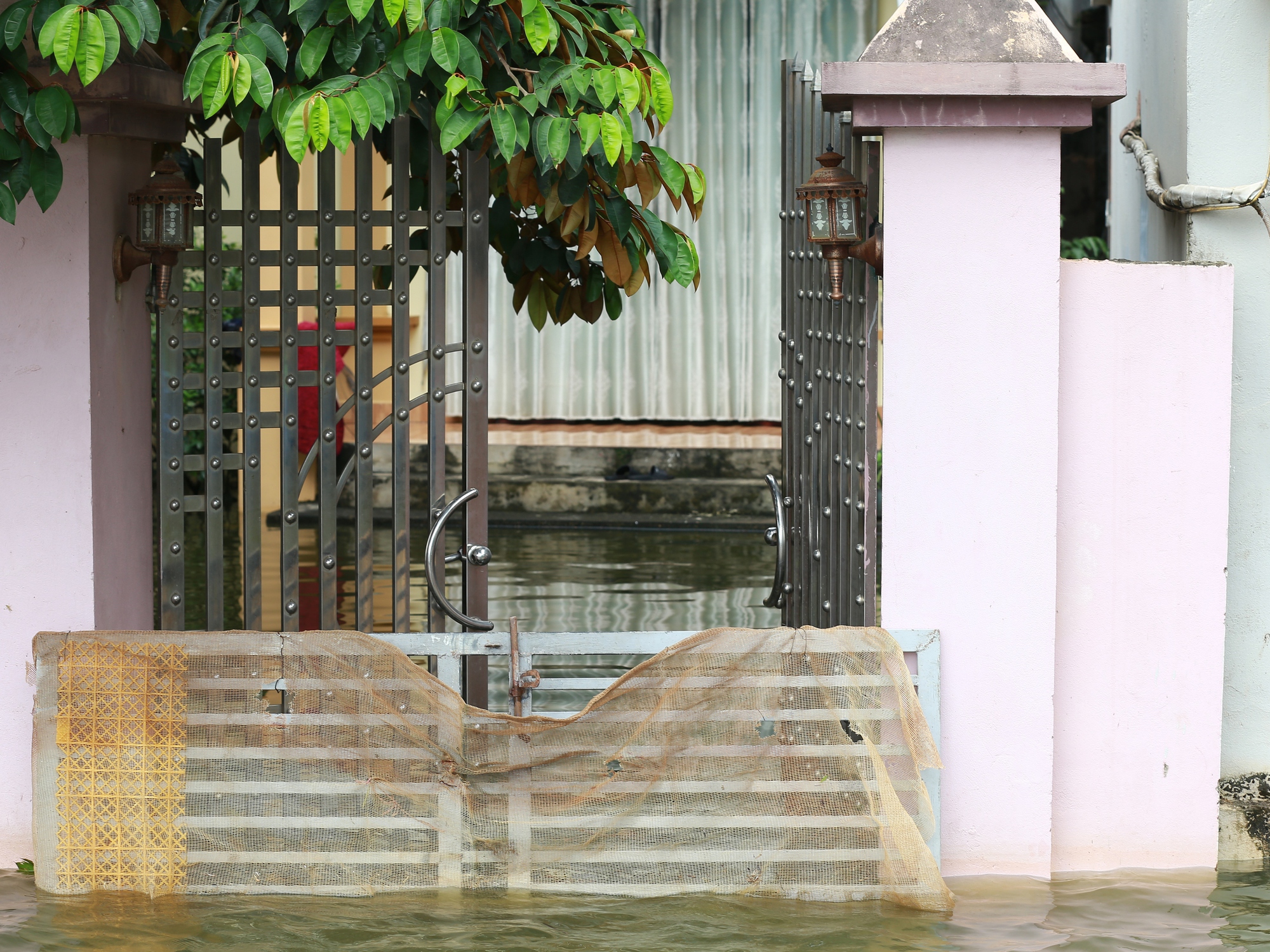 Hà Nội: Ngôi làng bị nước bủa vây như "ốc đảo", người dân đổ xô đến tập bơi- Ảnh 5.