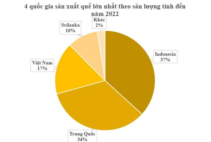 Hàng nghìn tấn cây quý nguồn gốc từ Trung Quốc đưa Việt Nam trở thành ông hoàng xuất khẩu - sản lượng nước ta chỉ bằng 1/2 láng giềng nhưng xuất khẩu đứng đầu thế giới- Ảnh 2.