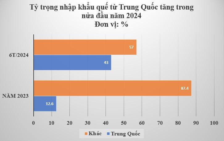 Hàng nghìn tấn cây quý nguồn gốc từ Trung Quốc đưa Việt Nam trở thành ông hoàng xuất khẩu - sản lượng nước ta chỉ bằng 1/2 láng giềng nhưng xuất khẩu đứng đầu thế giới- Ảnh 4.