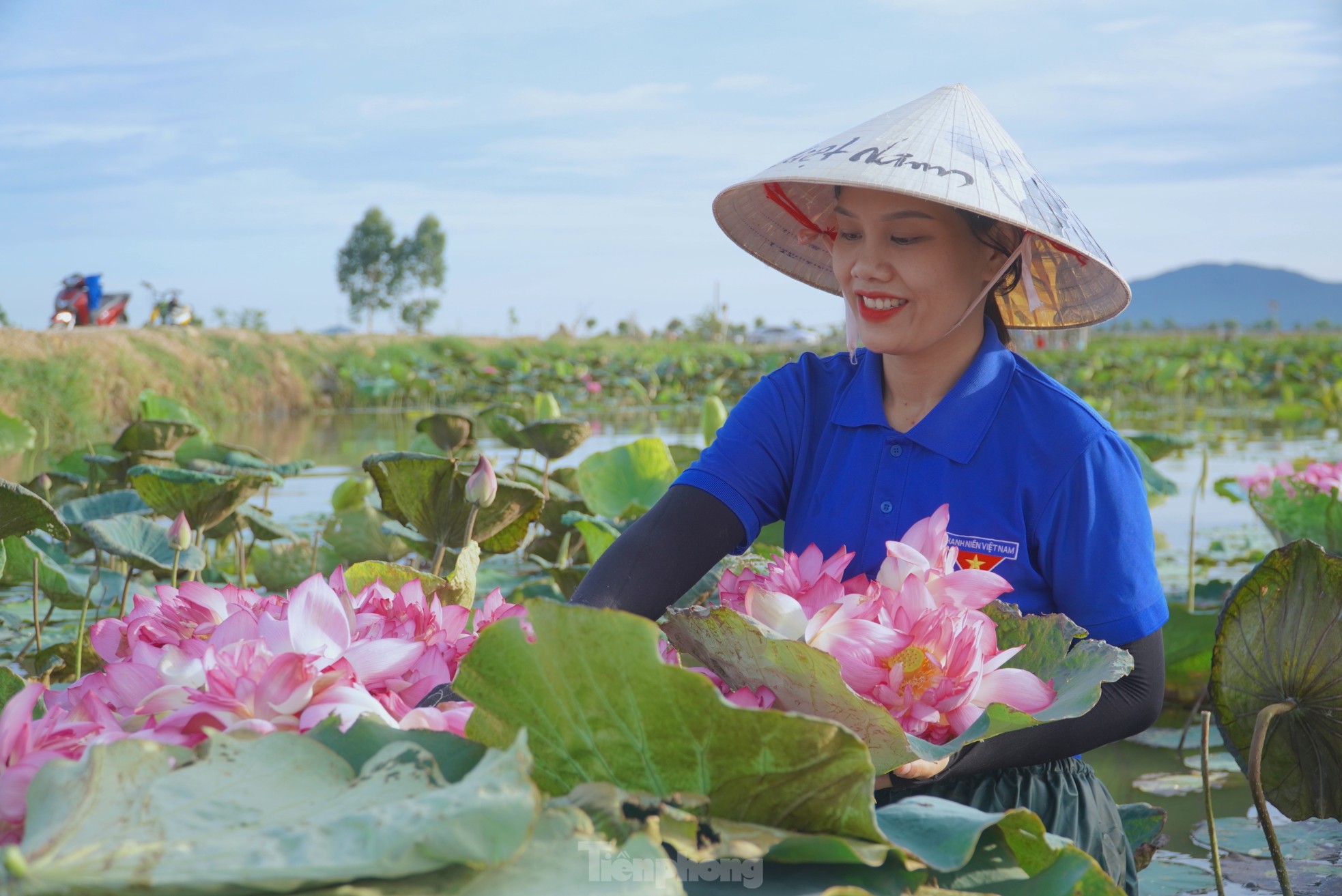 Ra đầm hái sen lúc rạng sáng, mỗi ngày thu tiền triệu- Ảnh 17.