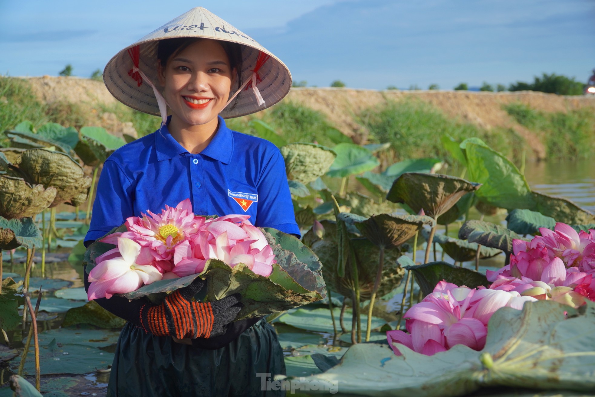 Ra đầm hái sen lúc rạng sáng, mỗi ngày thu tiền triệu- Ảnh 4.