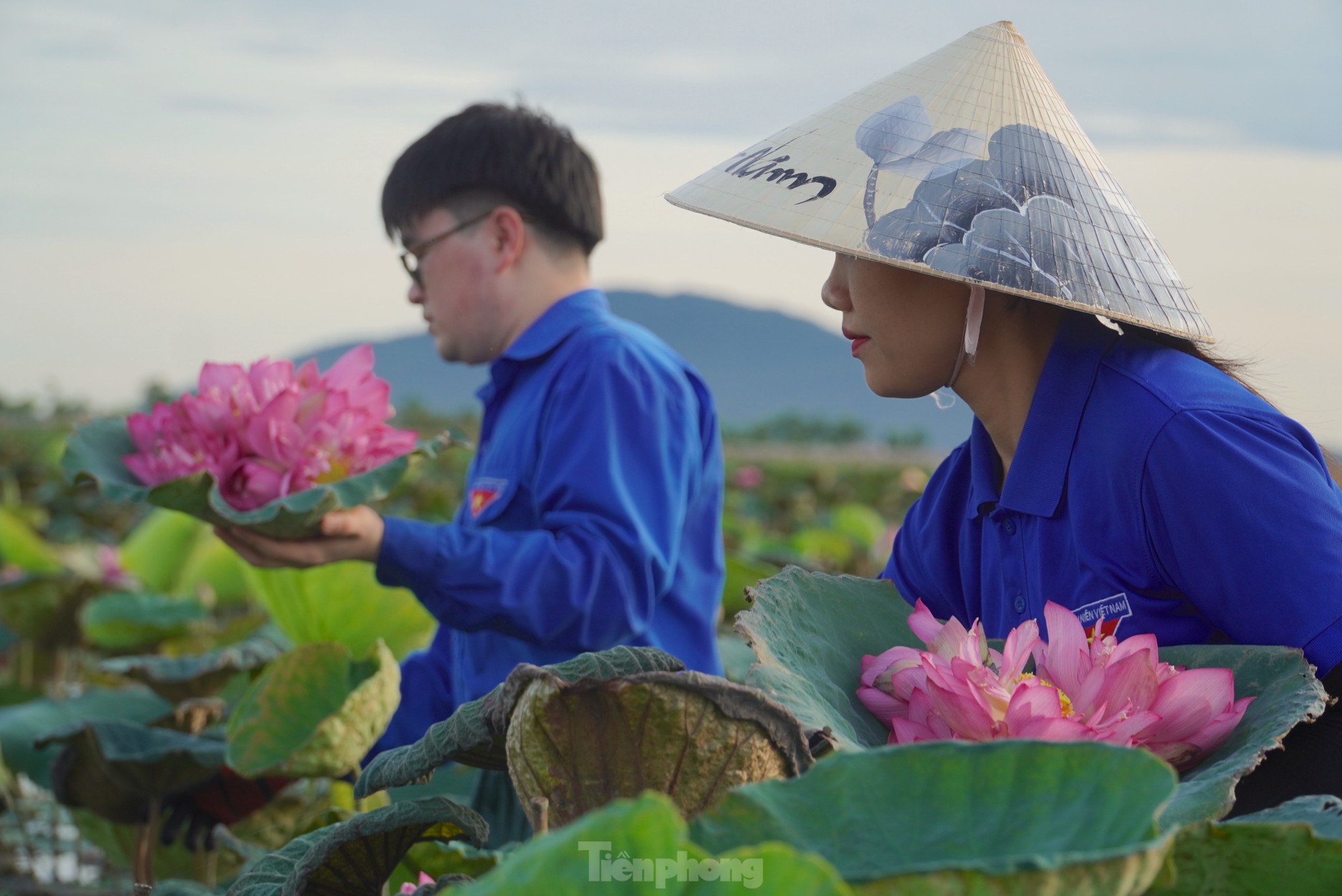 Ra đầm hái sen lúc rạng sáng, mỗi ngày thu tiền triệu- Ảnh 9.