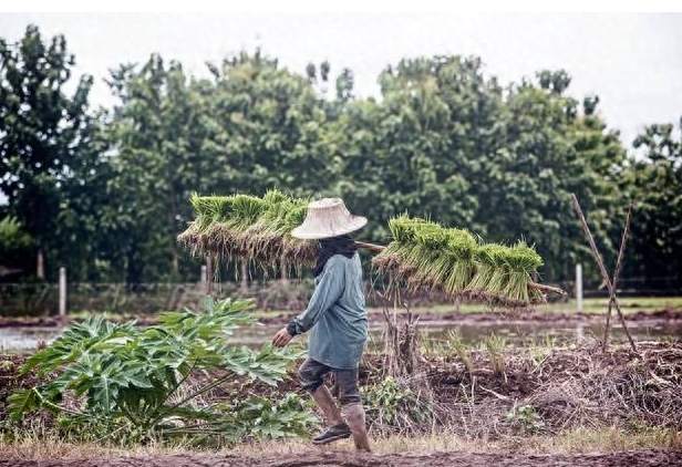 Nuôi con của em chồng ròng rã 22 năm, ngày con đoàn tụ với mẹ ruột, tôi đau lòng vô cùng: Đến khi ngã bệnh, tôi mới hiểu thấu!- Ảnh 1.