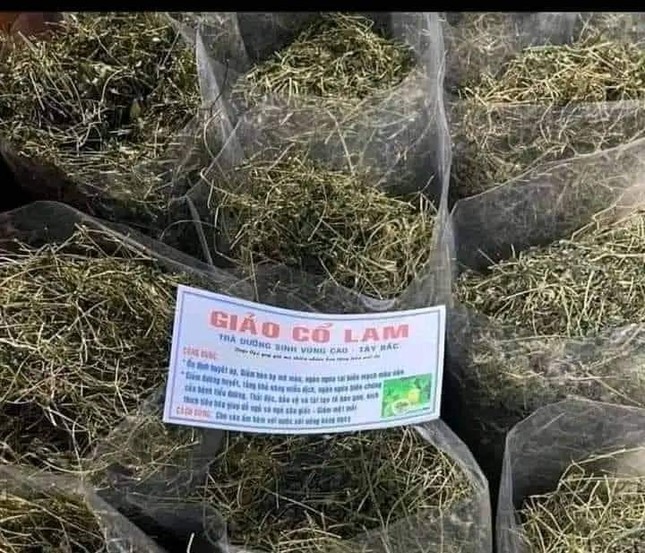 Giảo cổ lam làm giảm sức mạnh đàn ông?- Ảnh 2.