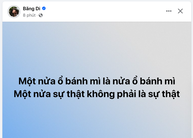 Băng Di đăng bức thư ẩn ý giữa tin chia tay bạn trai Việt kiều- Ảnh 3.