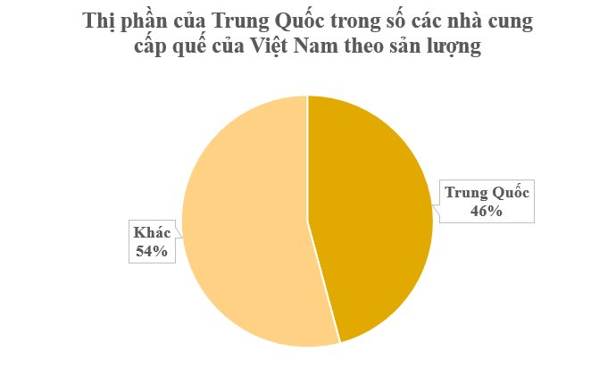 Loại cây lâu đời nhất thế giới từ Trung Quốc mang sang giúp Việt Nam trở thành ‘ông hoàng’ toàn cầu: Chỉ có rất ít quốc gia sở hữu, thu gần trăm triệu USD từ đầu năm- Ảnh 3.