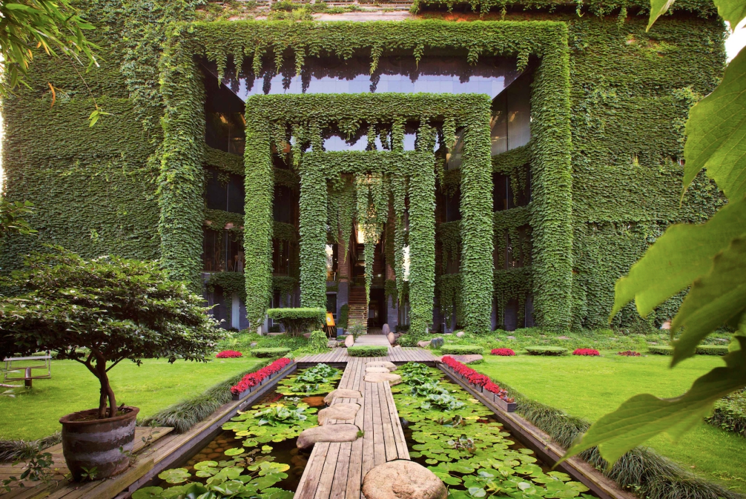 Cách dưỡng già của ông nội tuổi 70: Xây nhà đẹp cho vợ, ngủ phòng riêng, không phải sống với con cháu- Ảnh 4. Cách dưỡng già của ông nội tuổi 70: Xây nhà đẹp cho vợ, ngủ phòng riêng, không phải sống với con cháu- Ảnh 4.