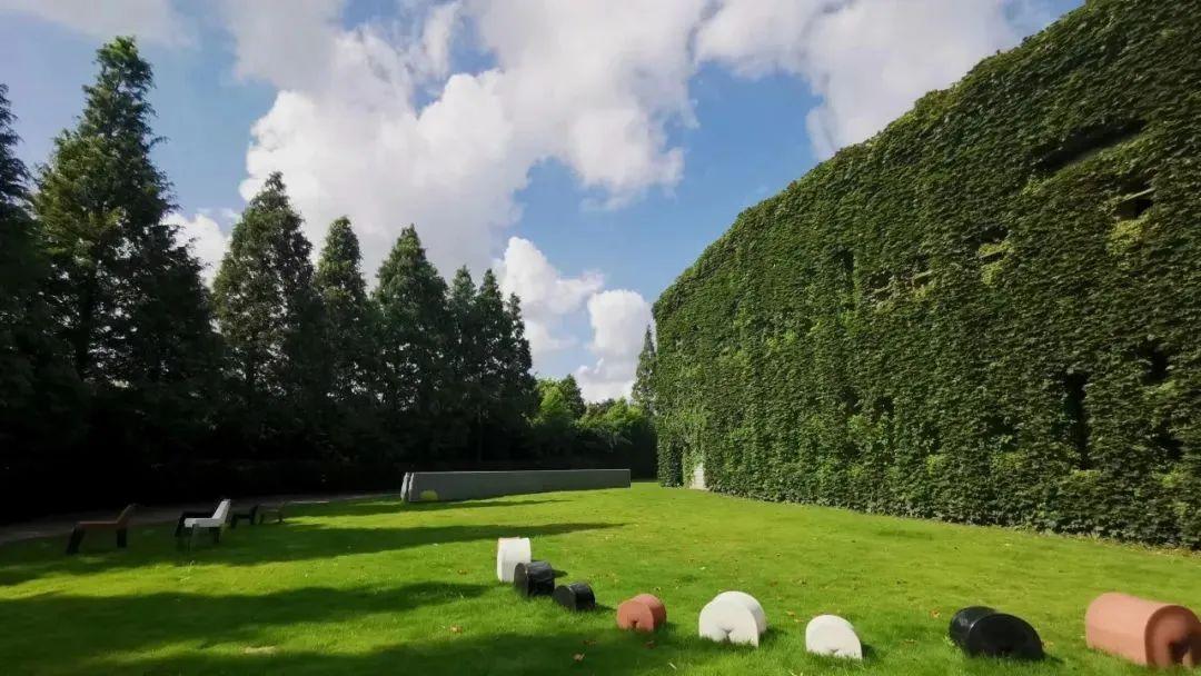 Cách dưỡng già của ông nội tuổi 70: Xây nhà đẹp cho vợ, ngủ phòng riêng, không phải sống với con cháu- Ảnh 27. Cách dưỡng già của ông nội tuổi 70: Xây nhà đẹp cho vợ, ngủ phòng riêng, không phải sống với con cháu- Ảnh 27.