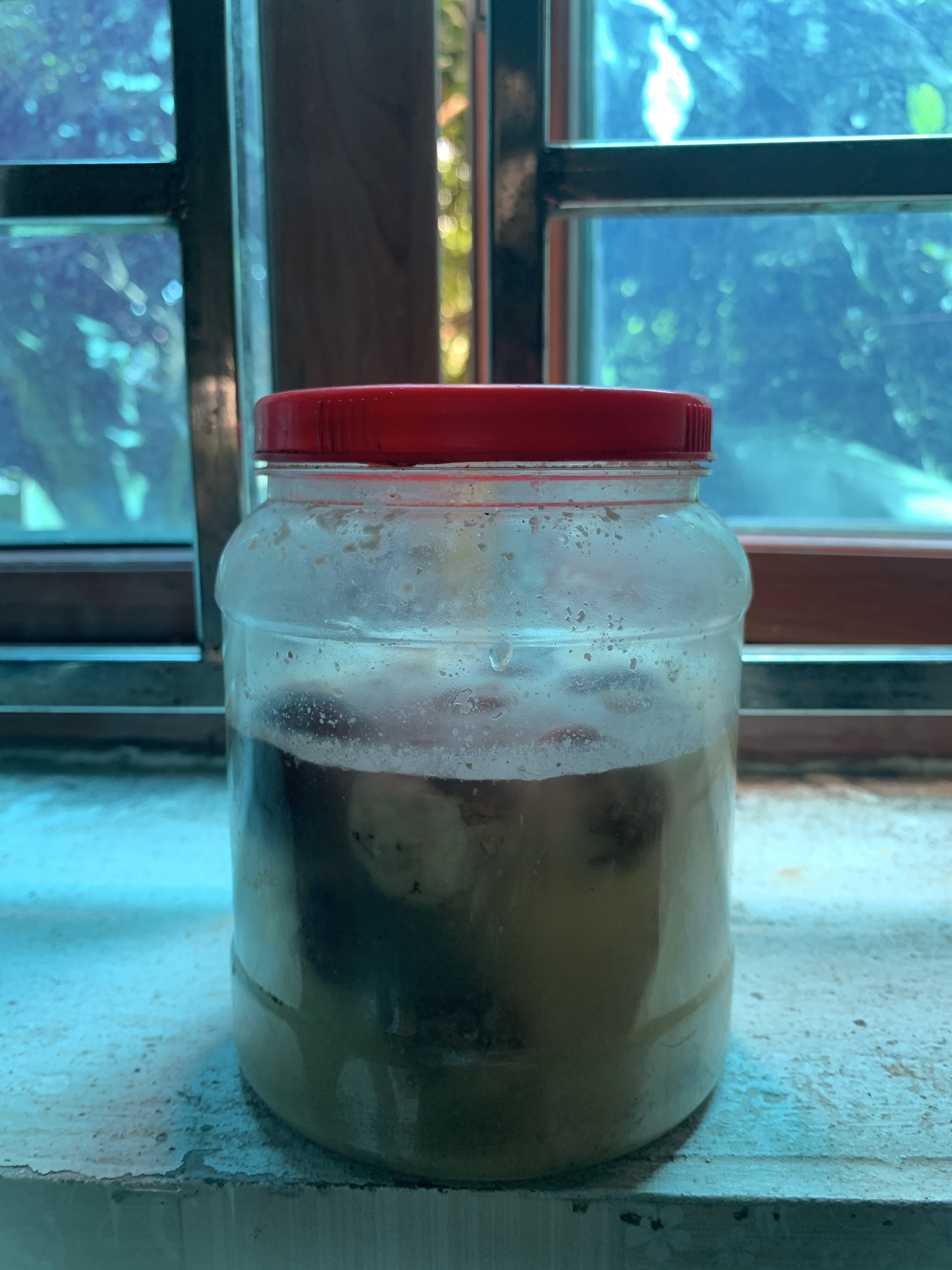 Nhiều người Việt thích ăn cà muối tự làm kiểu này: Vô tình nạp chất độc vào cơ thể, lâu ngày gây ung thư- Ảnh 1.