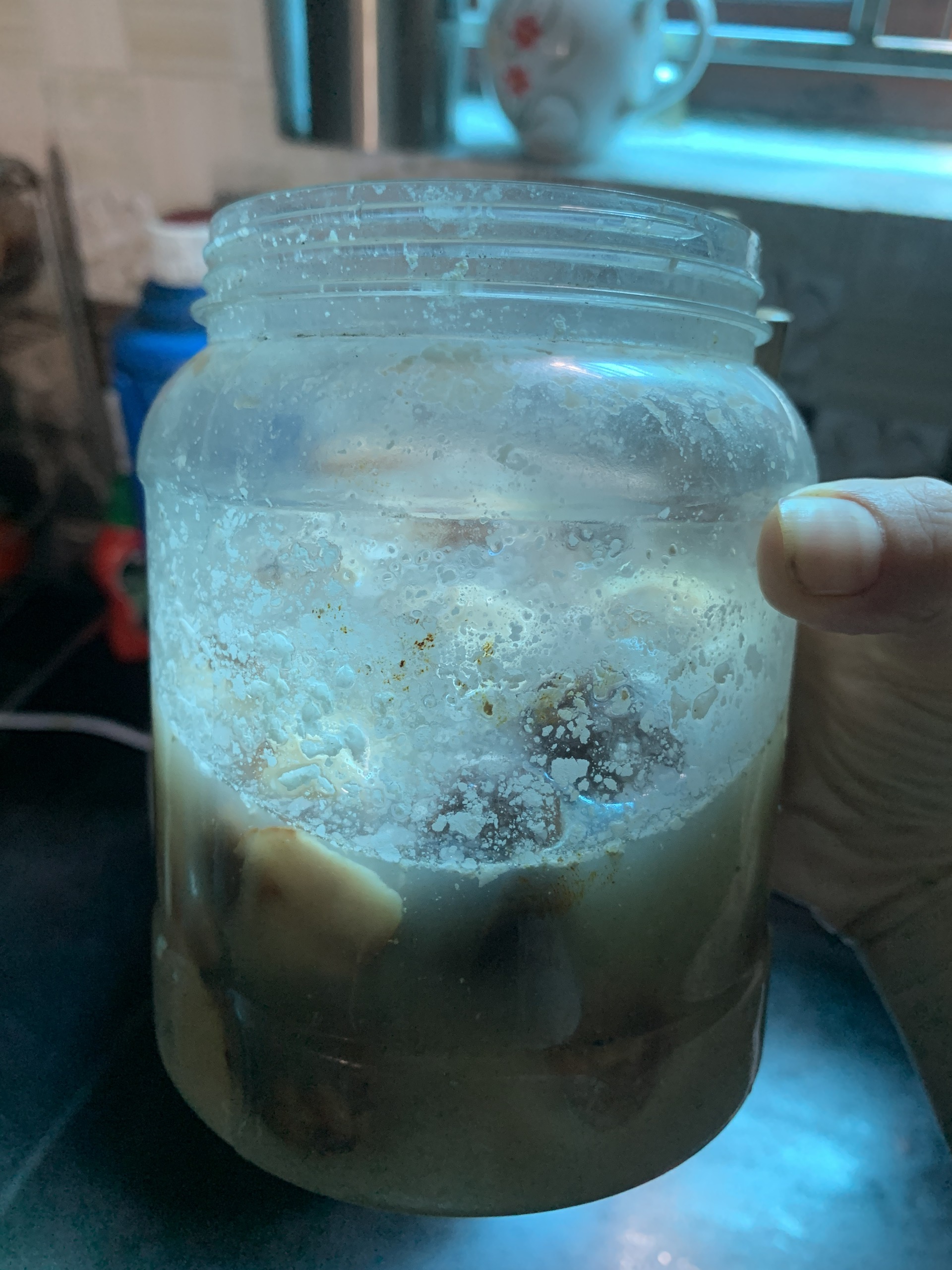 Nhiều người Việt thích ăn cà muối tự làm kiểu này: Vô tình nạp chất độc vào cơ thể, lâu ngày gây ung thư- Ảnh 2.