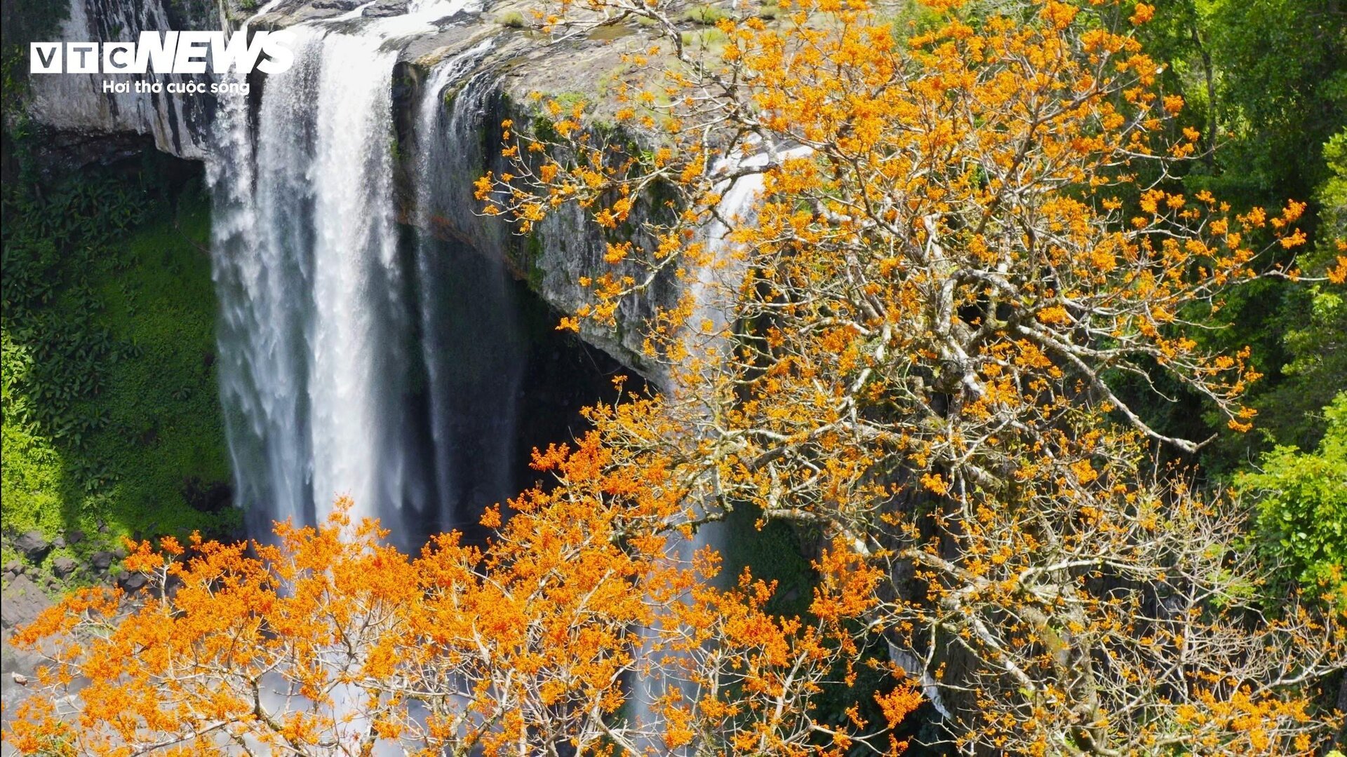 Ngắm th&aacute;c K50 - 'n&agrave;ng thơ' của đại ng&agrave;n T&acirc;y Nguy&ecirc;n v&agrave;o m&ugrave;a đẹp nhất- Ảnh 6.