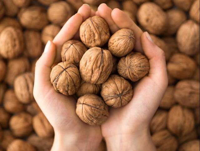 Cụ &ocirc;ng 103 tuổi nhờ chăm ăn 1 loại hạt trường thọ c&oacute; b&aacute;n ở chợ Việt: Gi&uacute;p chắc khoẻ xương, giảm lipid m&aacute;u, chậm gi&agrave; hiệu quả- Ảnh 2.