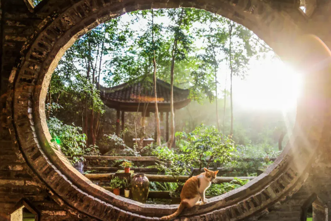 Rời bỏ thành phố lớn, gia đình 3 người về quê xây dựng thiên đường sinh thái biệt lập- Ảnh 5. Rời bỏ thành phố lớn, gia đình 3 người về quê xây dựng thiên đường sinh thái biệt lập- Ảnh 5.