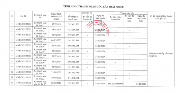 Công ty Đất Xanh Miền Nam trong vụ tố cáo chiếm đoạt 44,8 tỷ đồng trái phiếu có lai lịch ra sao?- Ảnh 3.