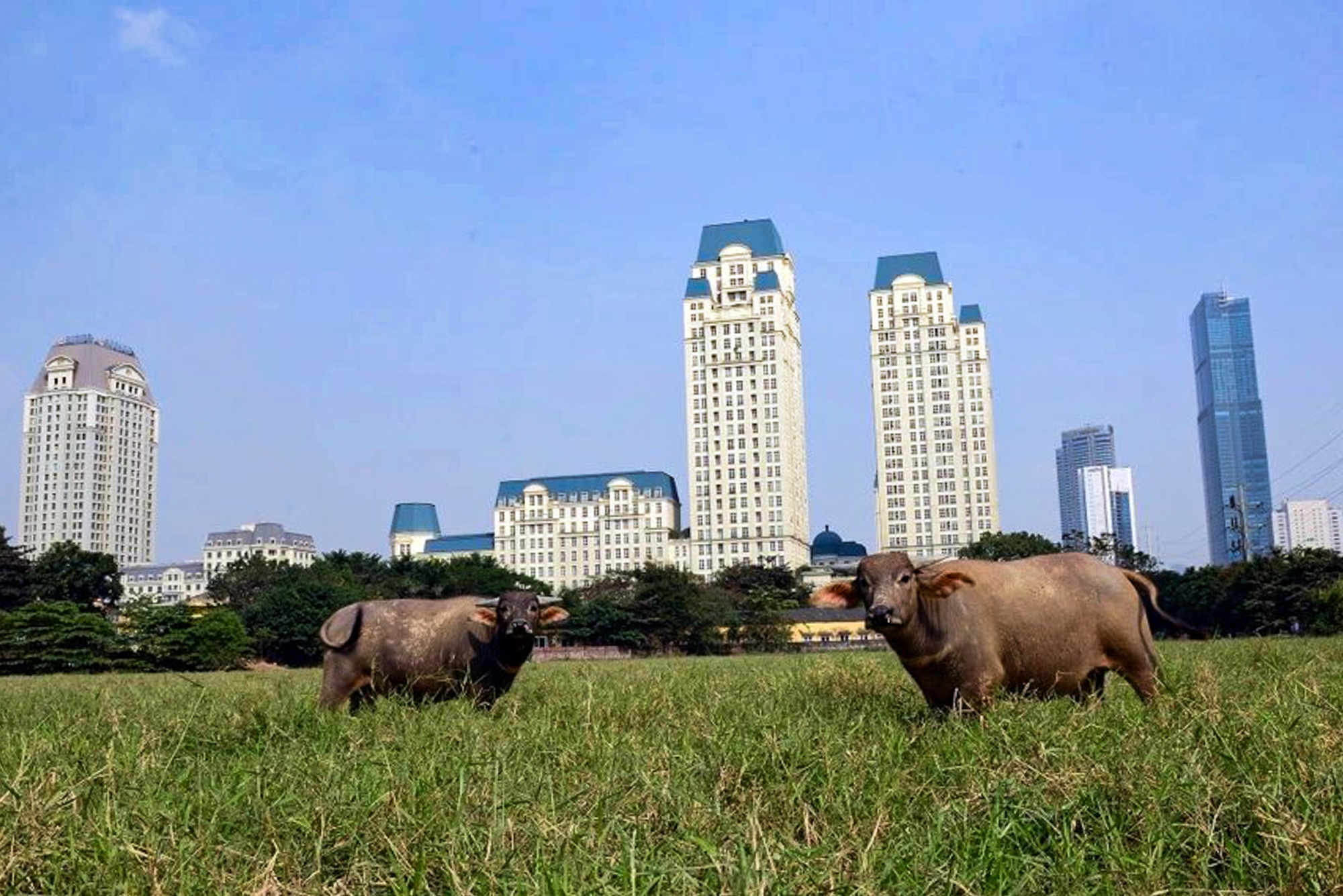 Một quận của Hà Nội thay đổi kinh ngạc sau 10 năm, là “điểm nóng” phát triển bất động sản, Vinhomes và hàng loạt ông lớn đến đầu tư- Ảnh 10.