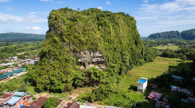 Không phải Tây Ban Nha, bức tranh hang động cổ nhất thế giới ở Đông Nam Á: Niên đại tới 51.200 năm tuổi - Ảnh 1.