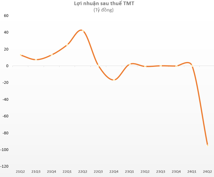 Doanh nghiệp cạnh tranh với VinFast tại Việt Nam báo lỗ kỷ lục trong quý 2, cổ phiếu lập tức "có biến" - Ảnh 1.
