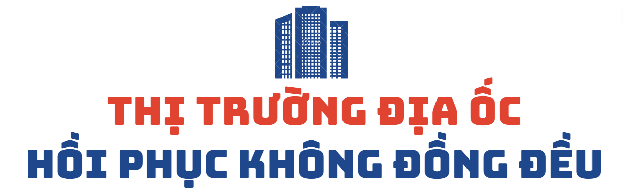 Đất nền vẫn còn tình trạng bán thoát lỗ, nhất là tại các nơi từng tăng "nóng" như Bình Phước, Tây Ninh, Lâm Đồng, Đắk Nông - Ảnh 1.