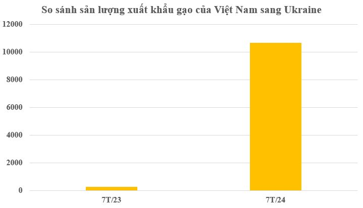 Ukraine mạnh tay săn lùng 'kho báu lớn thứ 3 thế giới' của Việt Nam: Xuất khẩu tăng gần 4.000%, nước ta trở thành cứu tinh cho châu Á- Ảnh 3.