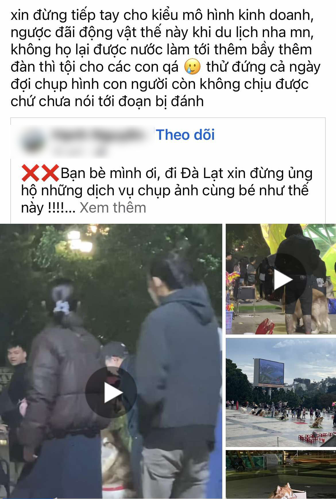 Clip người chủ "tác động vật lý" chú chó chuyên chụp ảnh cùng du khách ở quảng trường Đà Lạt khiến dân mạng phẫn nộ, kêu gọi tẩy chay dịch vụ này - Ảnh 5.