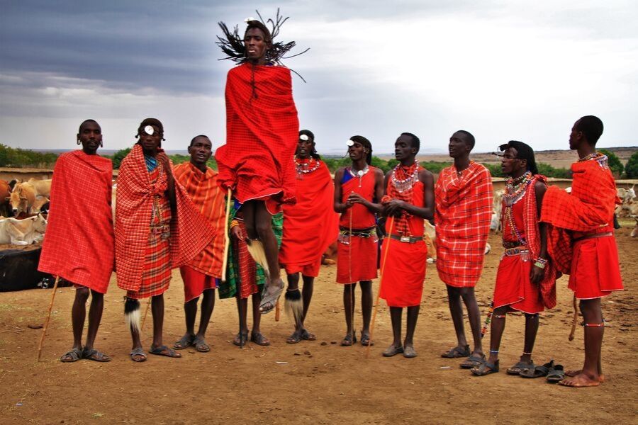 Sư tử thậm chí còn không sợ voi, vậy tại sao chúng lại sợ người Maasai? - Ảnh 5.