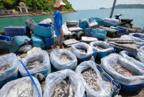 Vượt Trung Quốc, một mặt hàng của Việt Nam đang làm trùm tại xứ kim chi: Thu gần 300 triệu USD trong nửa đầu năm, 58 quốc gia đang mạnh tay chốt đơn- Ảnh 1.