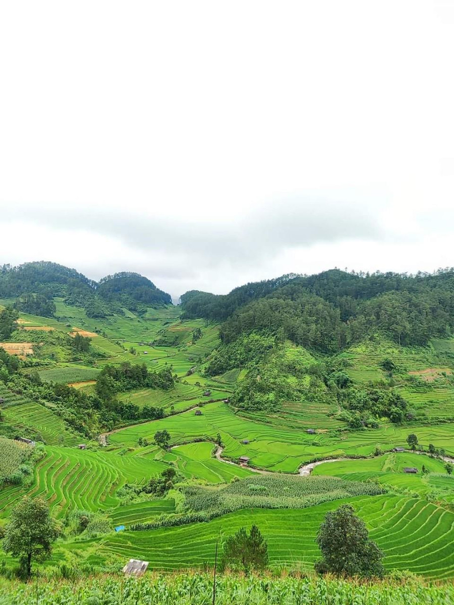 Vẻ đẹp siêu thực hàng đầu thế giới của Mù Cang Chải- Ảnh 12.