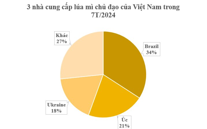  - Ảnh 4.