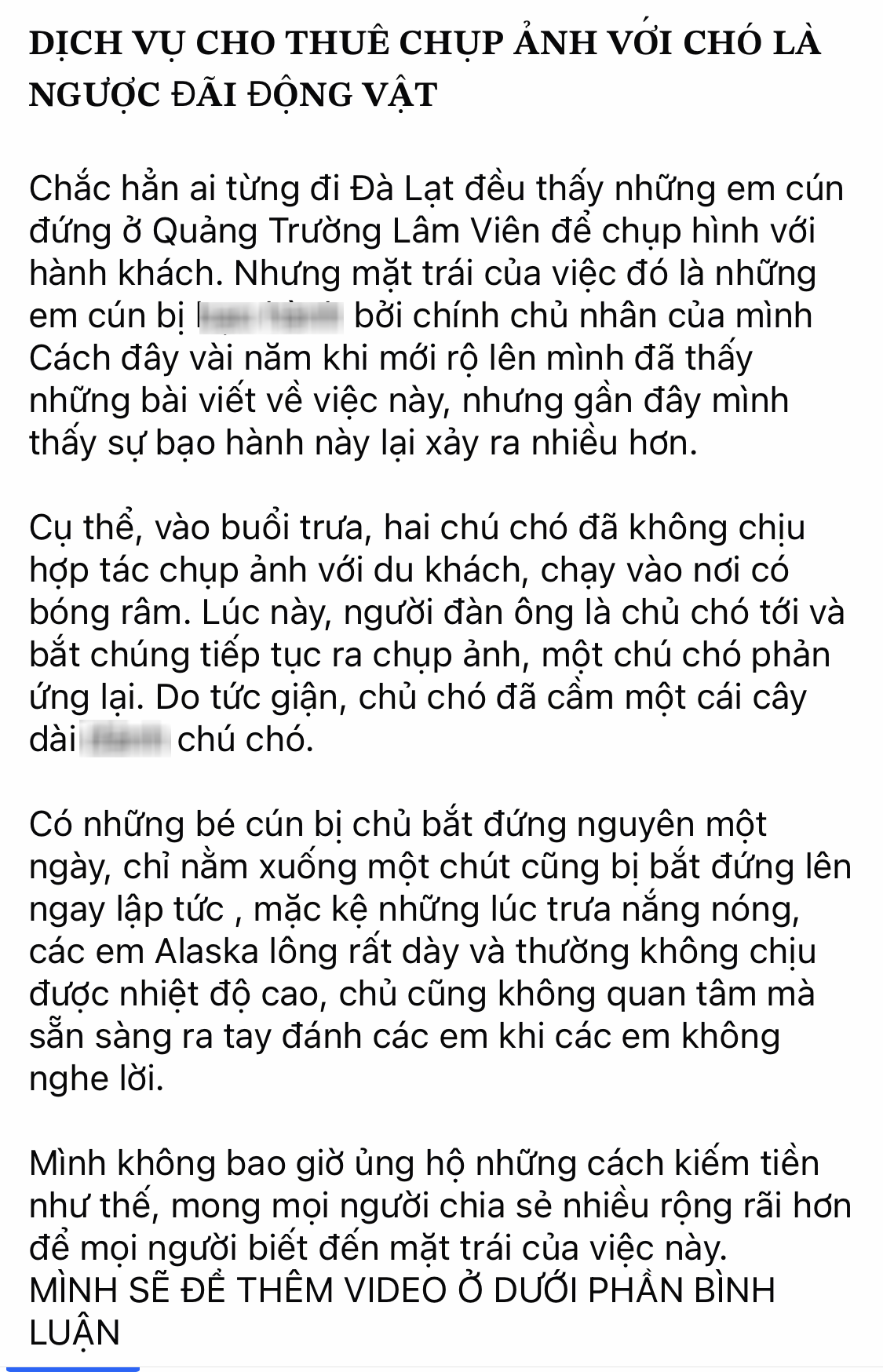 Vụ chó dịch vụ chụp ảnh ở Đà Lạt bị "tác động vật lý": Thêm clip người chủ dùng gậy đánh đập dã man, ép "tiếp khách" gây phẫn nộ - Ảnh 2.