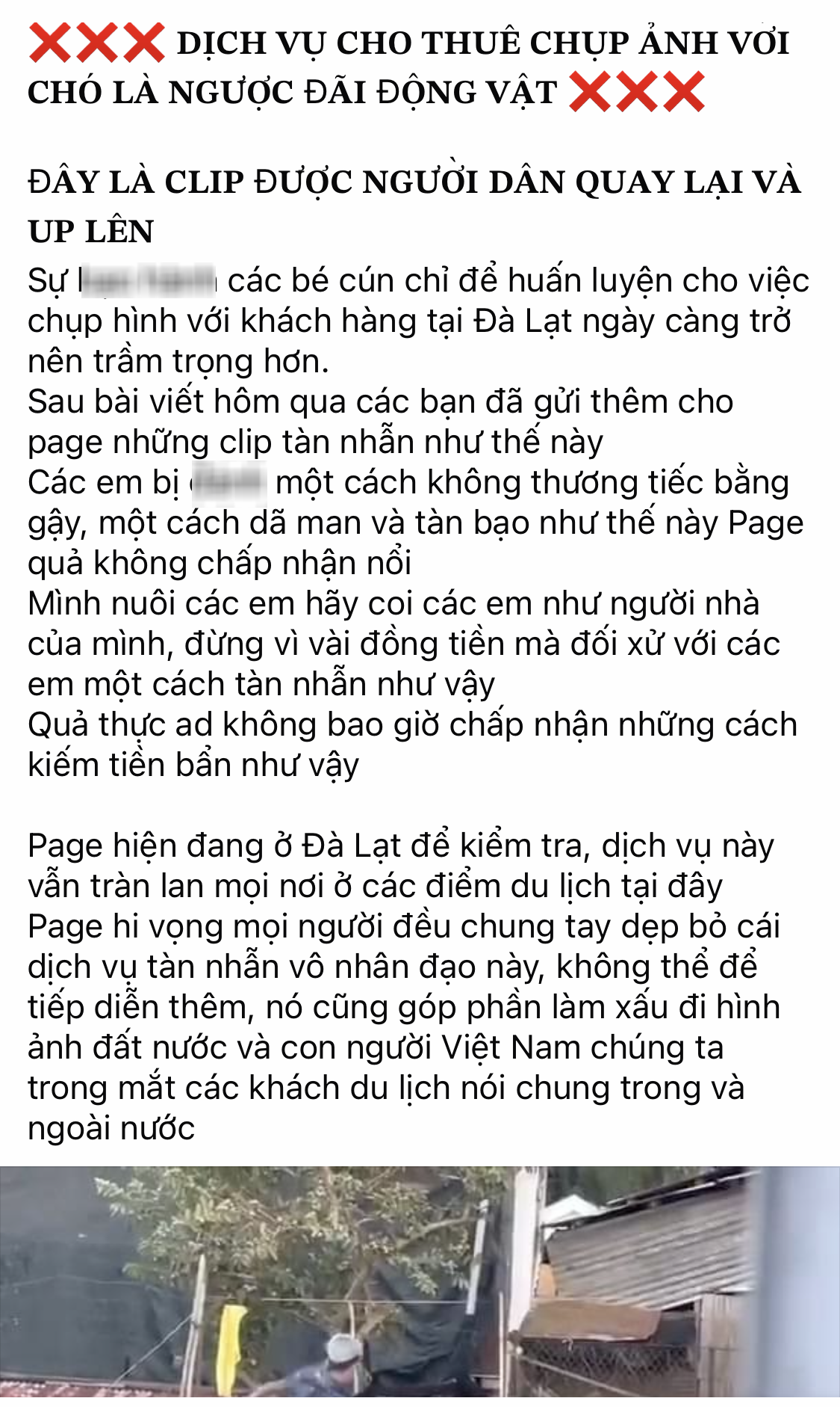 Vụ chó dịch vụ chụp ảnh ở Đà Lạt bị "tác động vật lý": Thêm clip người chủ dùng gậy đánh đập dã man, ép "tiếp khách" gây phẫn nộ - Ảnh 1.