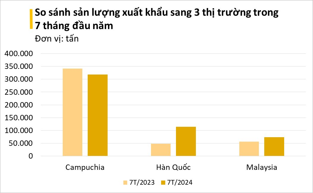  - Ảnh 5.