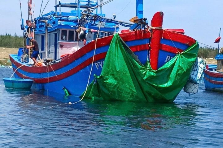 Tàu cá gặp nạn trên biển, thuyền viên phát trực tiếp lên mạng xã hội cầu cứu- Ảnh 1.