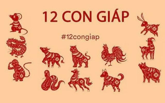 Tử vi 12 con giáp ngày 26/8: Tỵ tài lộc tươi sáng , Hợi viên mãn - Ảnh 1.