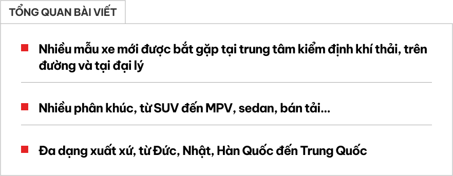 Loạt xe mới đã lộ diện tại Việt Nam, chỉ chờ ra mắt: Đa dạng phân khúc, mẫu mã, Santa Fe, Carnival 2024 dễ thành hàng 'hot'- Ảnh 1.