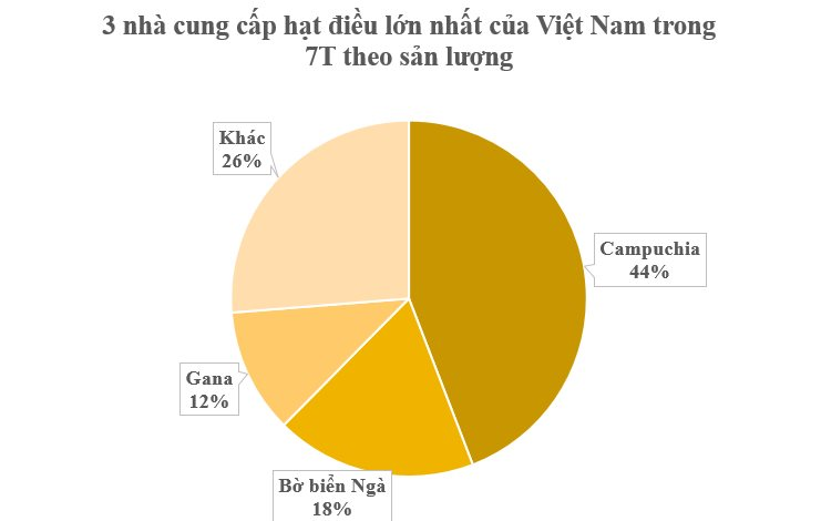 Hàng trăm nghìn tấn hàng từ châu Phi đổ bộ đưa Việt Nam trở thành ông trùm xuất khẩu của thế giới: Giá hấp dẫn, nước ta chi hơn 2 tỷ USD gom hàng- Ảnh 4.