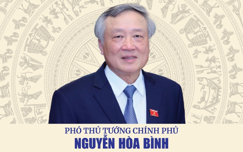 Thủ tướng Phạm Minh Chính giao nhiệm vụ cho 3 Phó Thủ tướng và 2 Bộ trưởng- Ảnh 17.