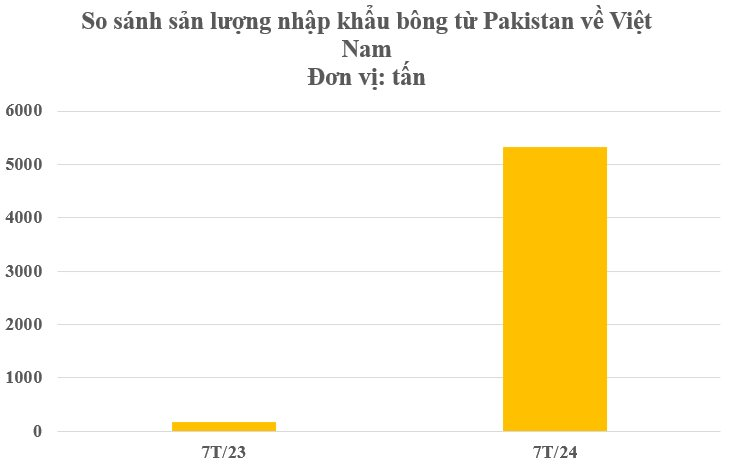  - Ảnh 4.