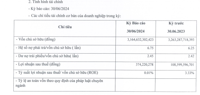 Công ty bất động sản Mỹ của nữ doanh nhân 9X nợ hơn 20.000 tỷ, đang phải trả lãi cho 89 lô trái phiếu - Ảnh 1.