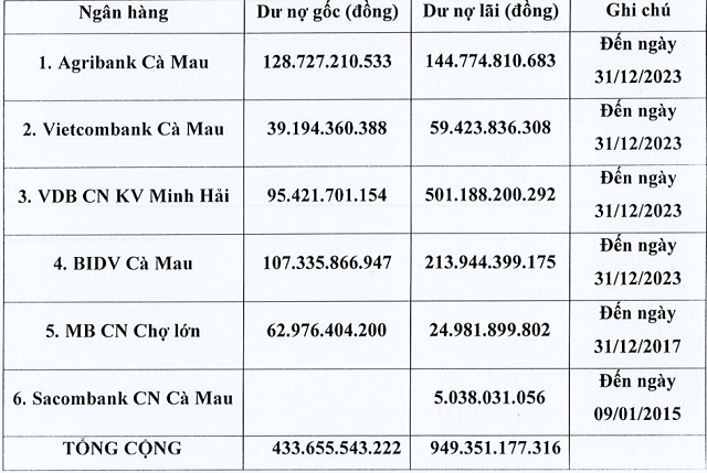 Đại gia Thuỷ sản lỗ luỹ kế hơn 1.600 tỷ, cựu Chủ tịch bị bắt giam, nợ nghìn tỷ với Agribank, BIDV, Vietcombank, MB...: Luôn muốn phá sản nhưng không được- Ảnh 1.