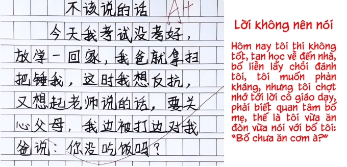 Học sinh tiểu học viết văn, được A+ hẳn hoi nhưng netizen đọc câu nào thấy "đau mông" thay câu nấy- Ảnh 1.